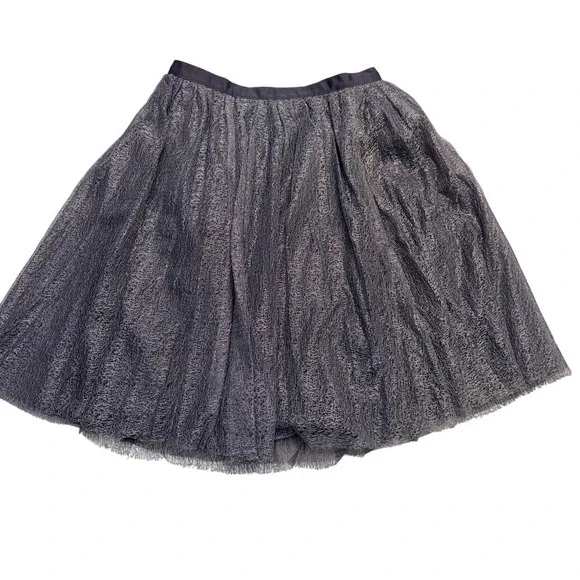 Isaac Mizrahi For Target Skirt Womens 4 Gray Metallic Tutu Knee‎ Length Lined - Picture 6 of 7